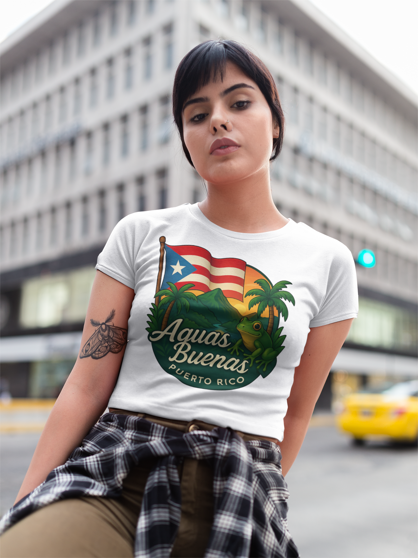 AGUAS BUENS PR MOCKUP