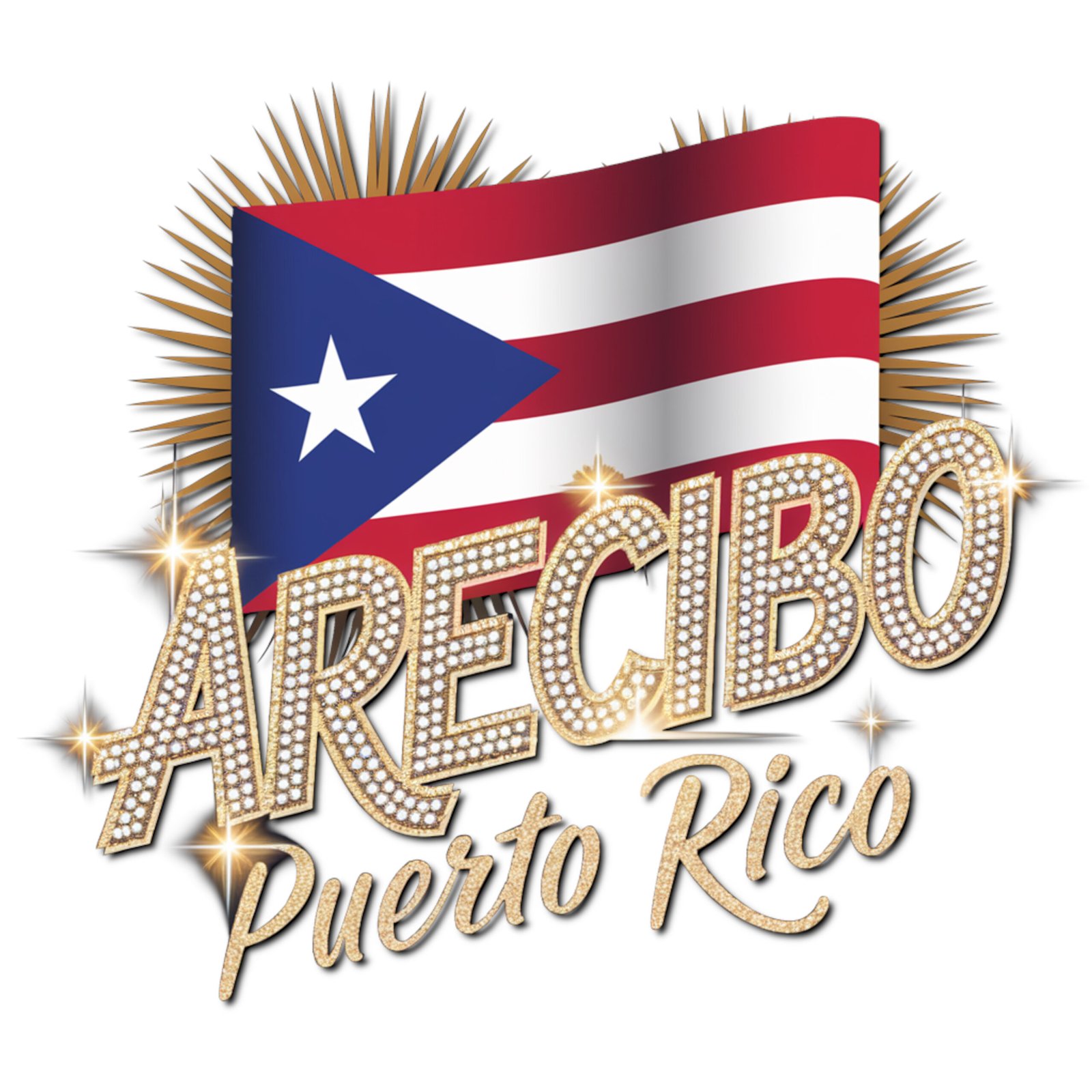 ARECIBO PR 5_COVER