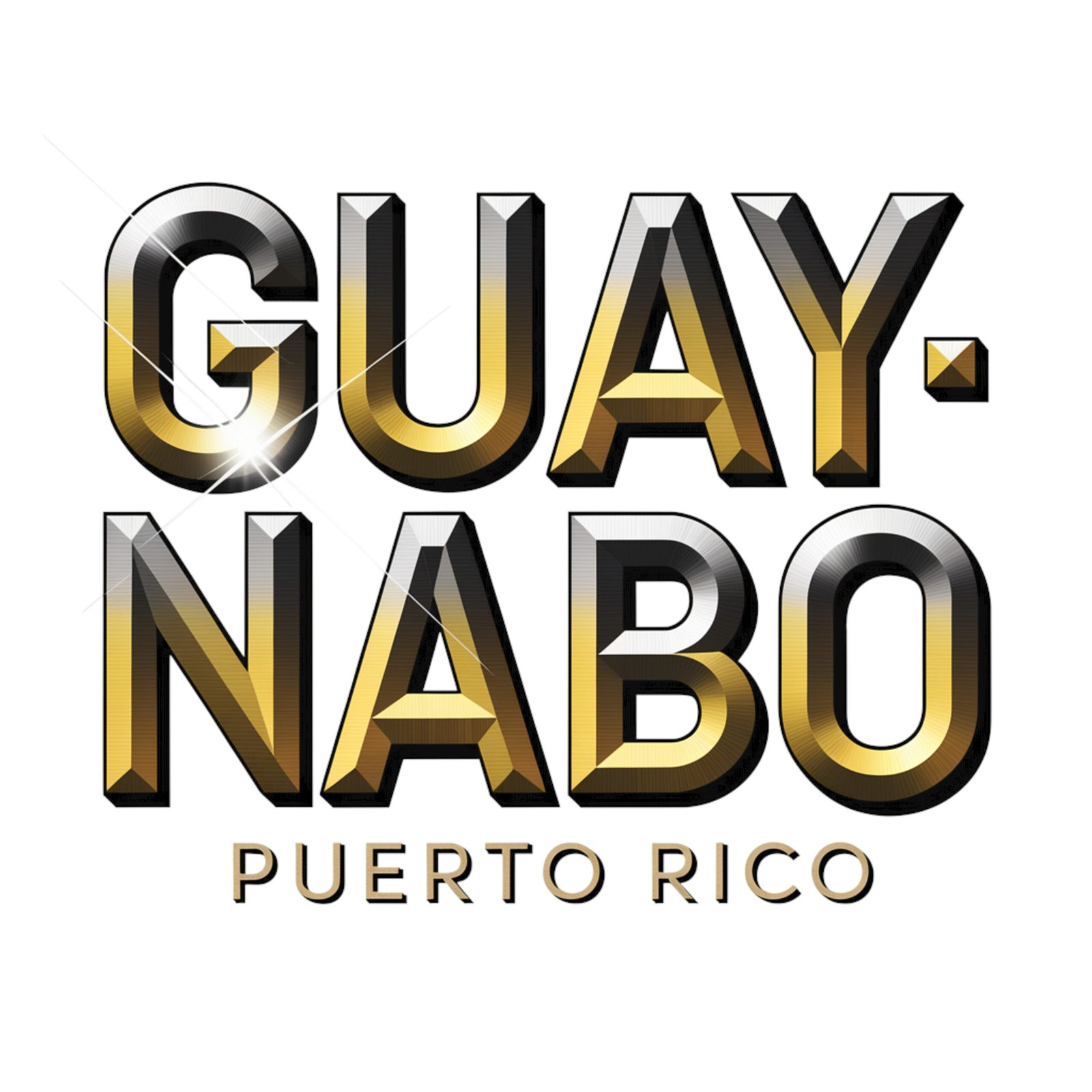 GUAYNABO PR 2_COVER