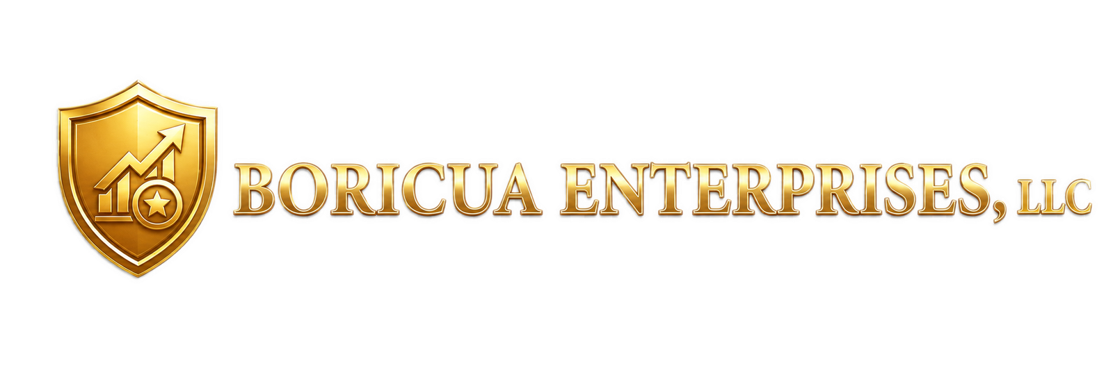 Boricua Enterprises, LLC